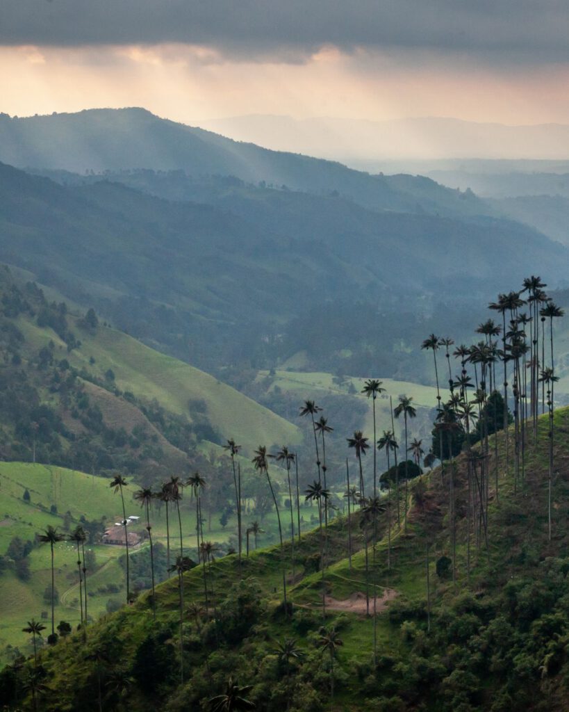 Tropical landscapes at Cocora National Park