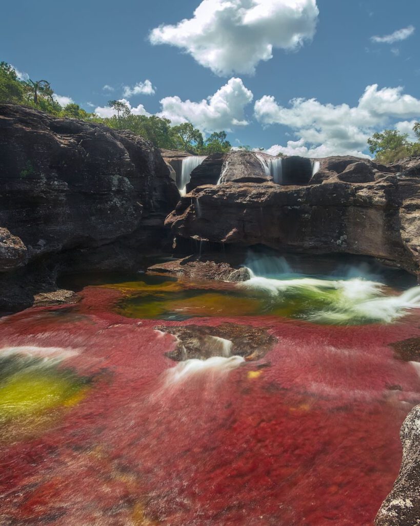 Cano Cristales - Colombia's rainbow river