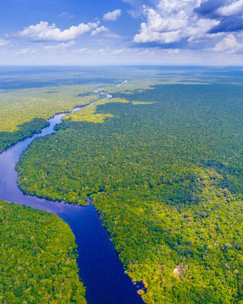 Amazon rainforest in the southern Colombia