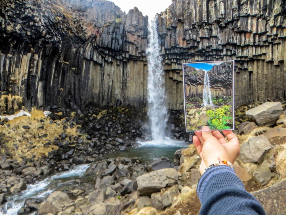 Svartifoss basalt waterfall - roadtrip-iceland