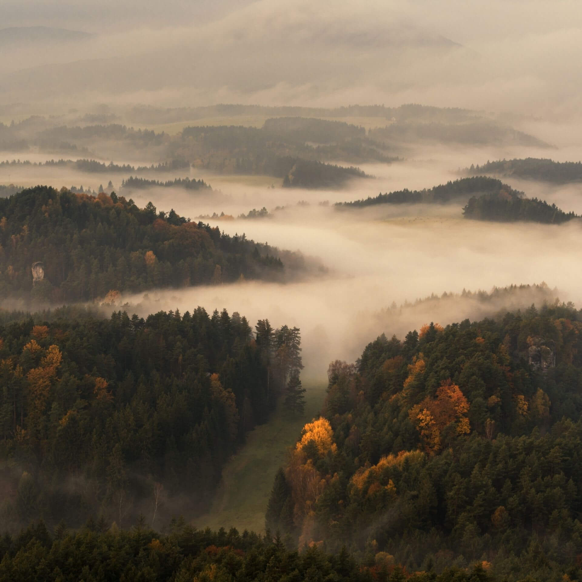 Bohemian Switzerland Hiking