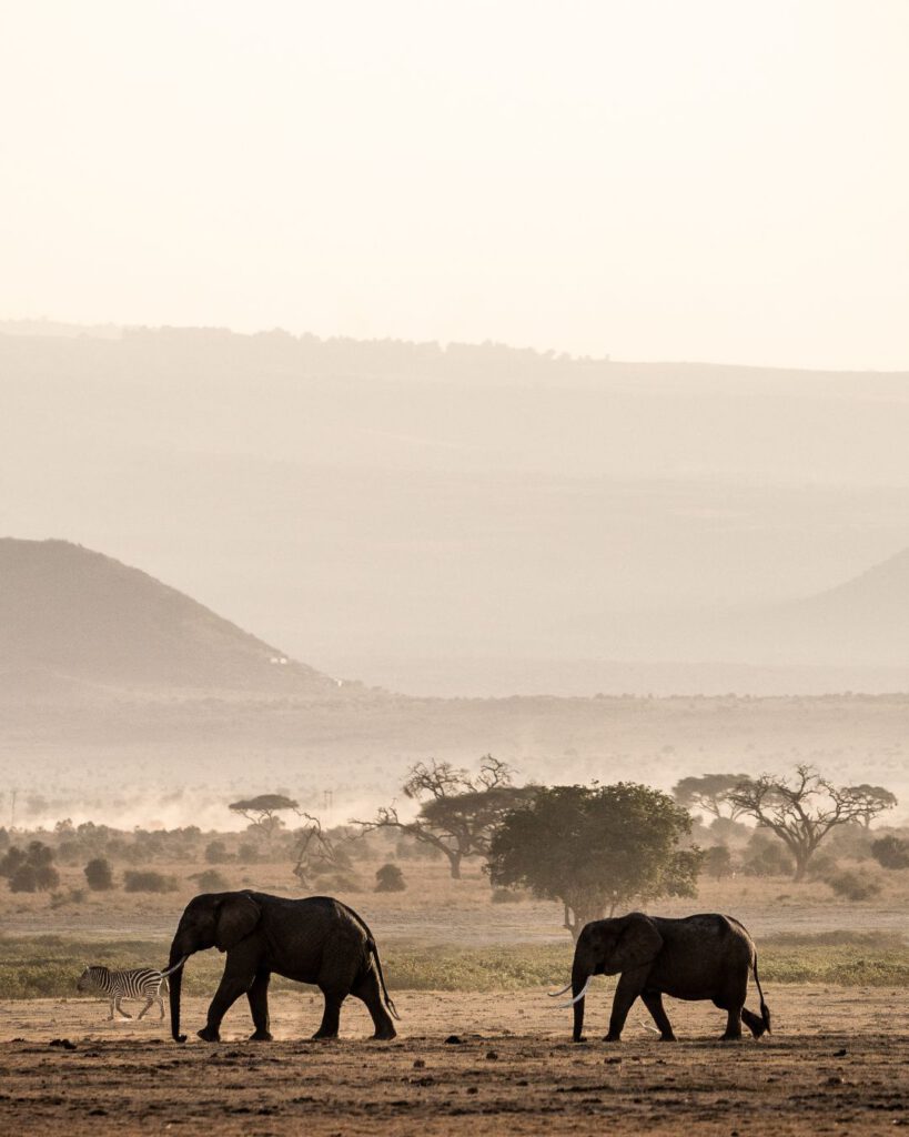 Best time to visit Amboseli National Park