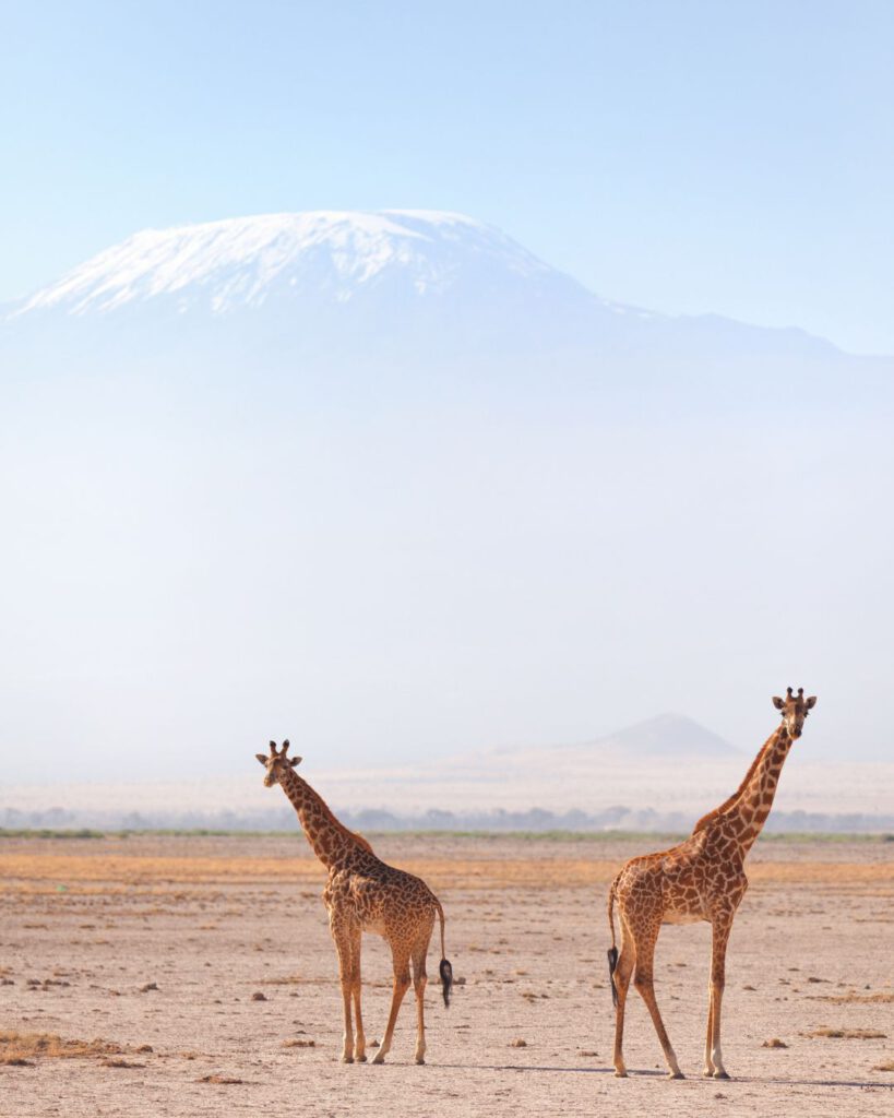 Prices in Amboseli National Park