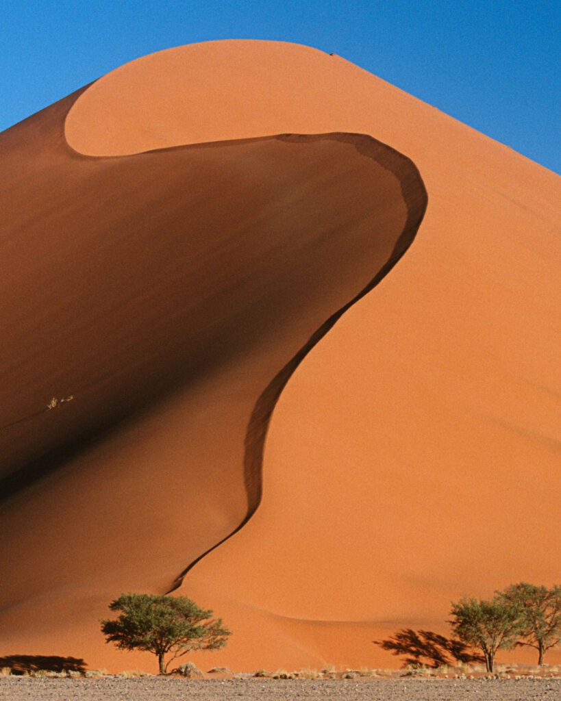 Dune flats in Namibia