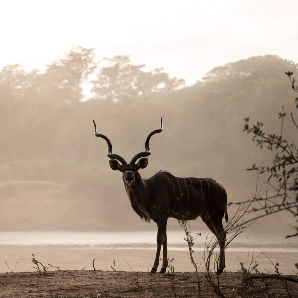 Which are the best national parks in Zambia