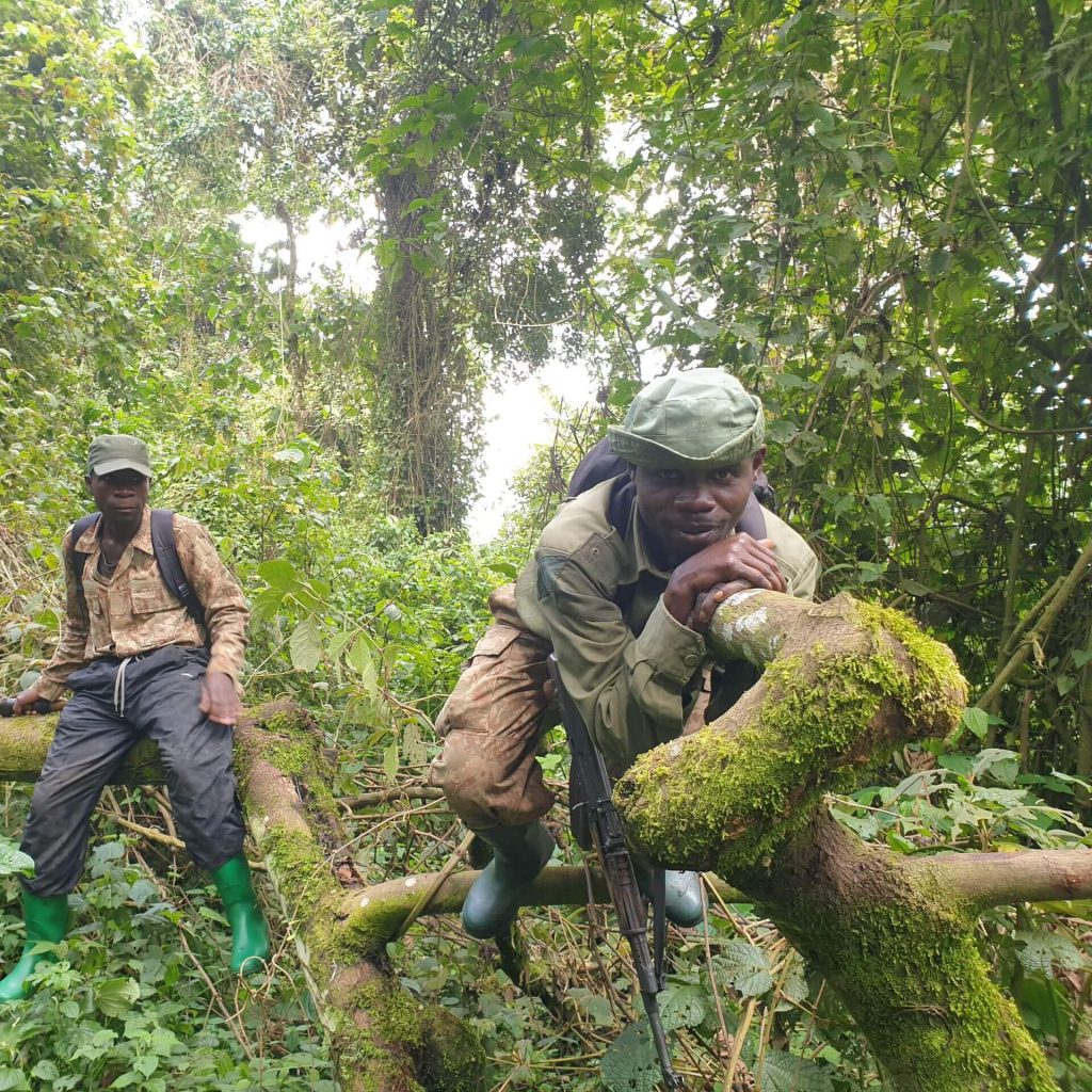 How to plan a trip to Kahuzi-Biéga National Park in Congo