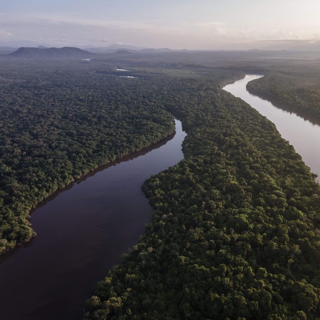 aerial view of Guyana rivers