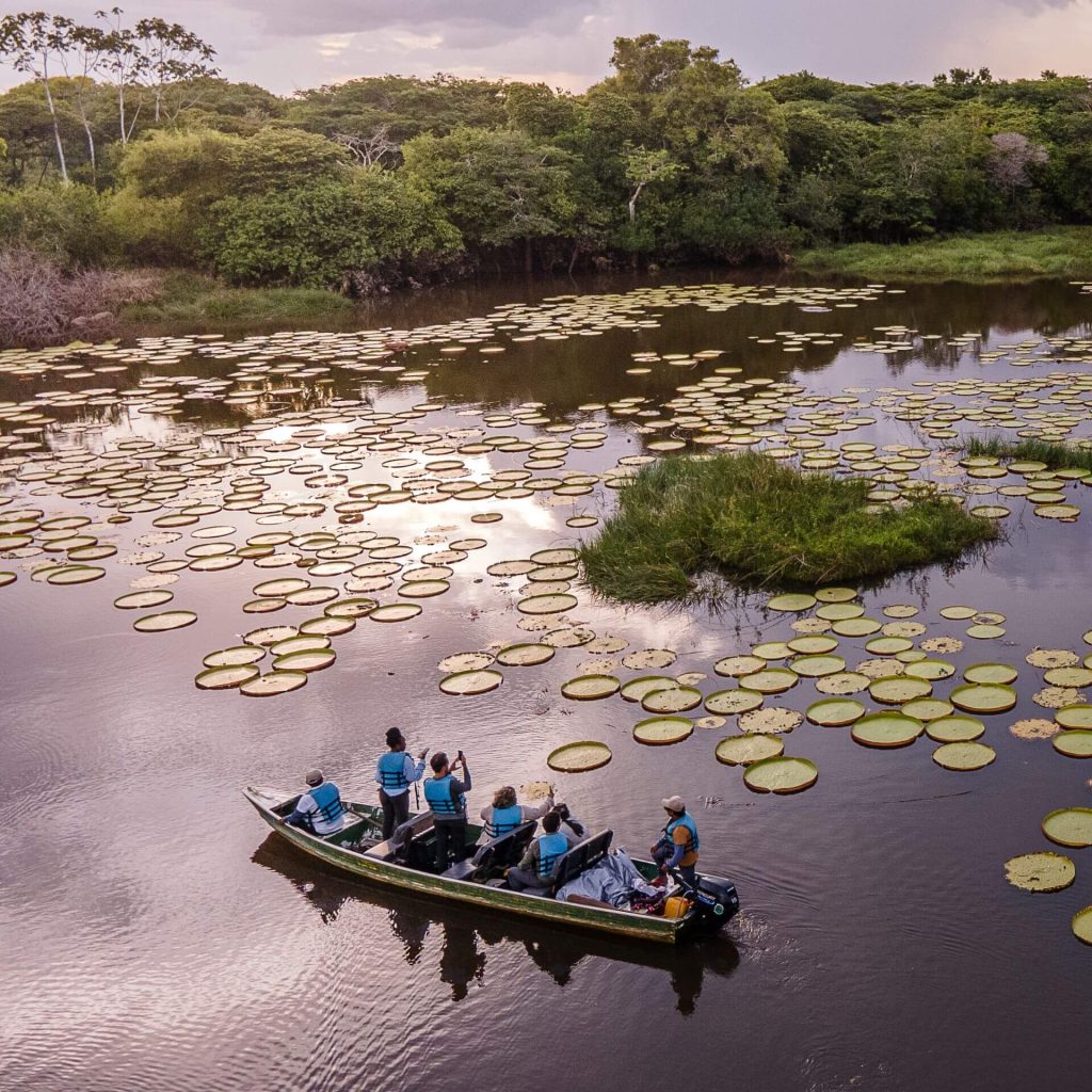 Uncovering the Wonders of the Amazon: An Adventure Guide to Guyana