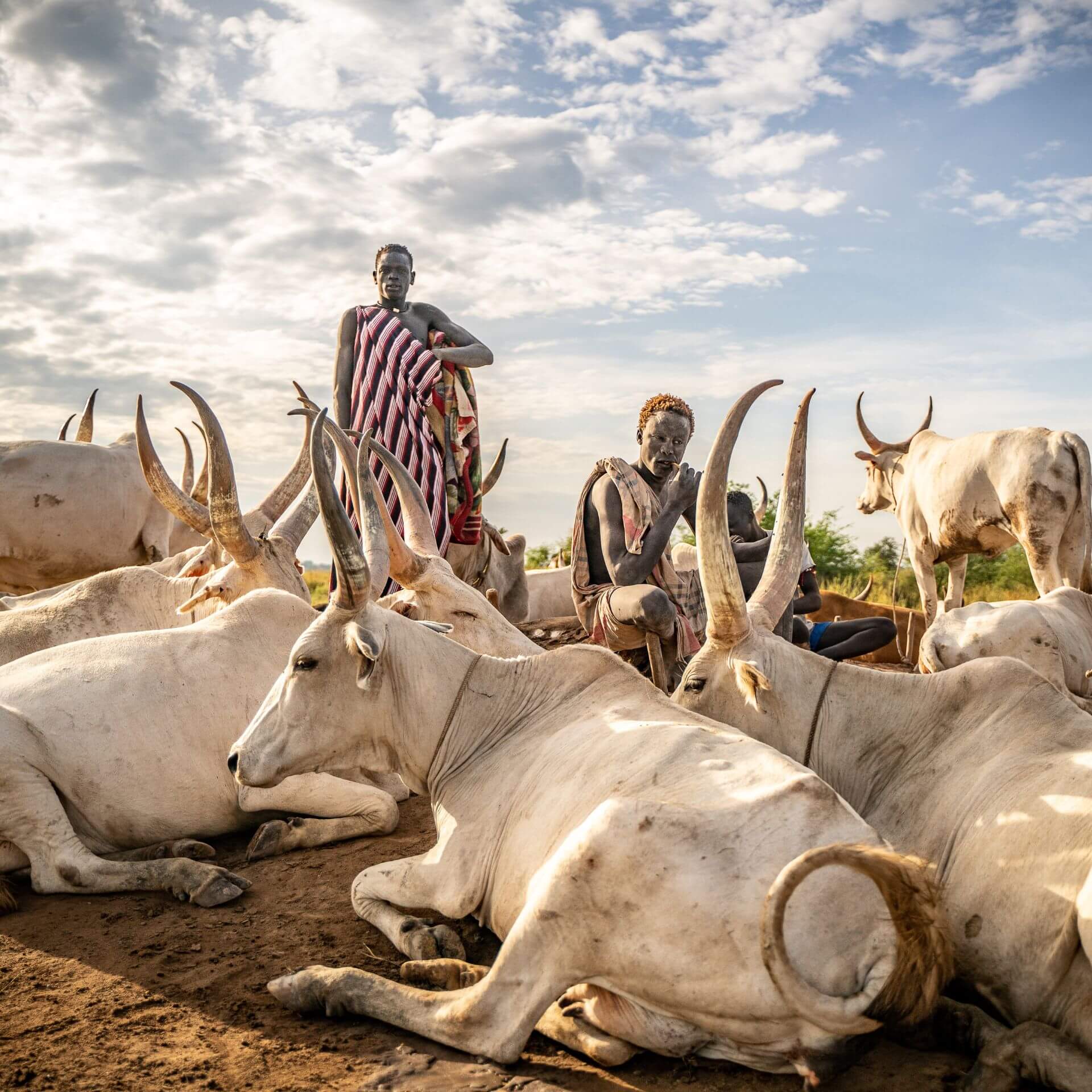 Everything You Need to Know Before Traveling to South Sudan