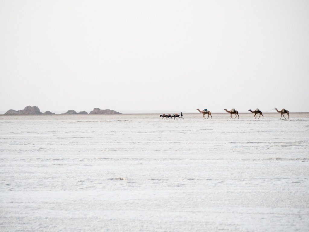 Karum Salt Lake: Ethiopia’s Otherworldly Salt Plains