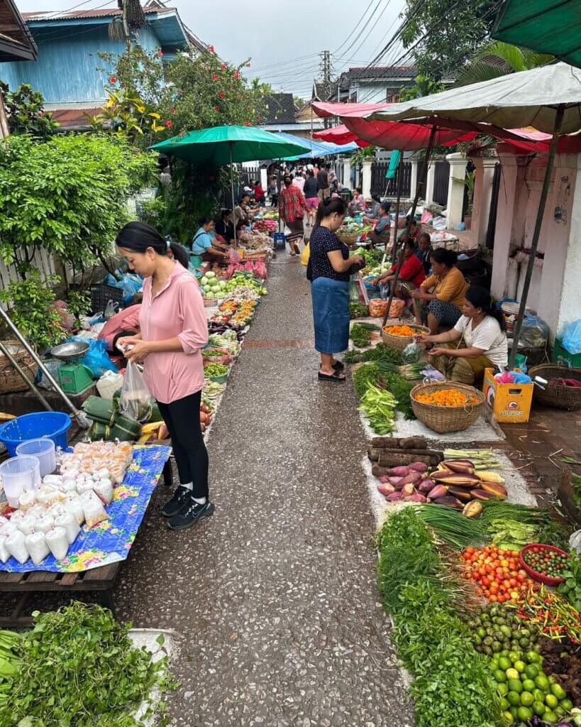 View of the vegetable and fruit market in Luang Prabang