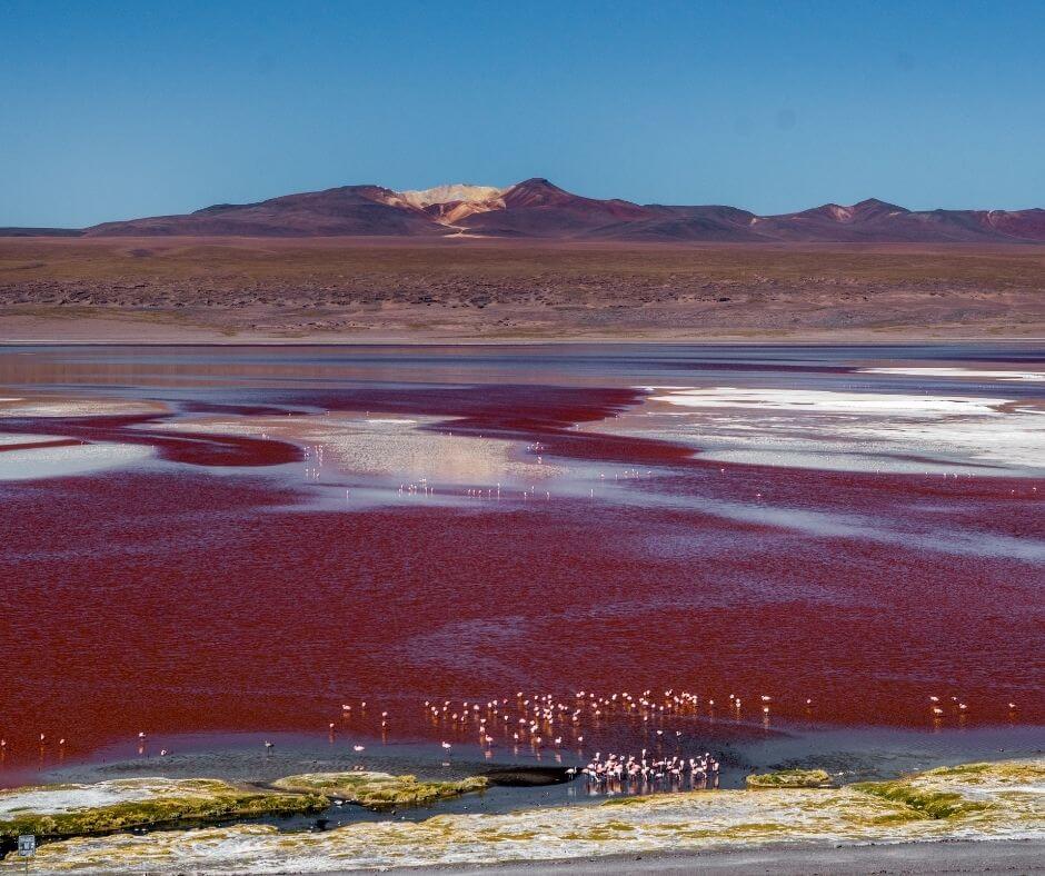 Salar-de-Uyuni-Laguna-Colorada-Red-Lagoon-Eduardo Avaroa National Reserve