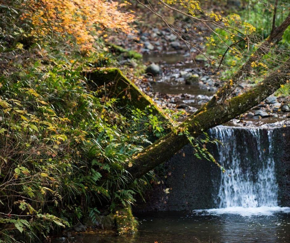 waterfall at the route in Mount Takao 