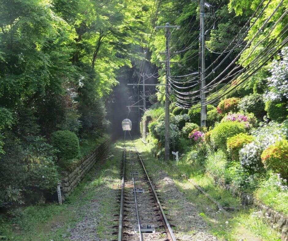 Hiking Mt. Takao and Mitake