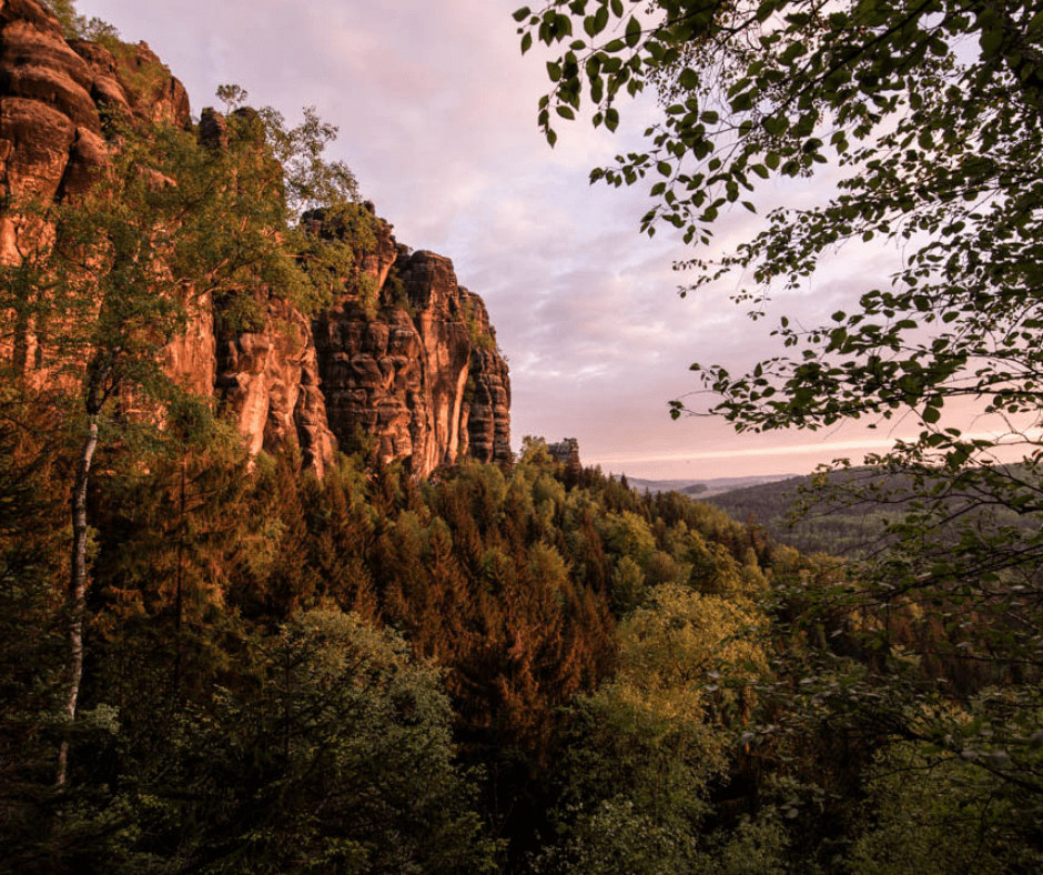 Golden sunrise illuminating the Schrammsteine rock formations in Saxon Switzerland