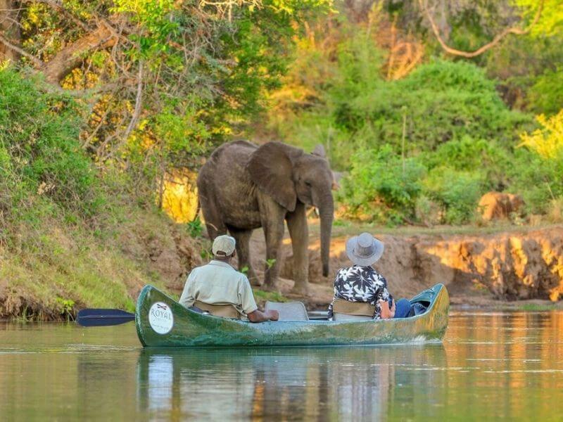 Canoeing at the lower Zambezi National Park