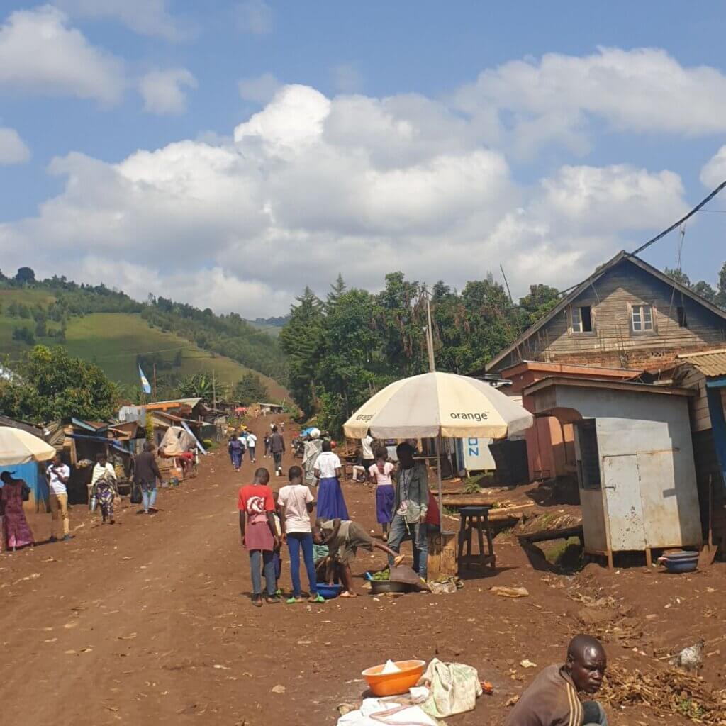 These are the roads in DR Congo