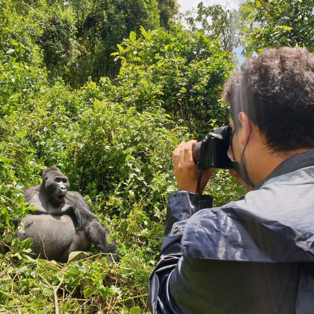 Photographing gorillas in Congo