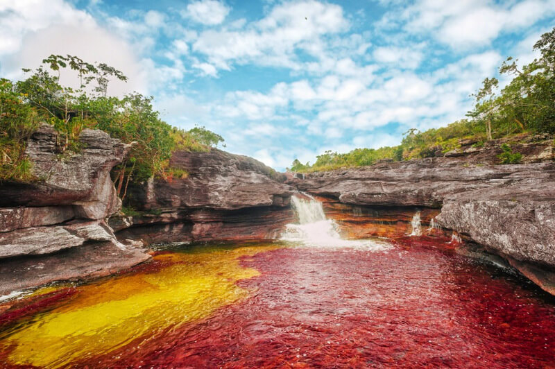 Traveling Cano Cristales in Colombia