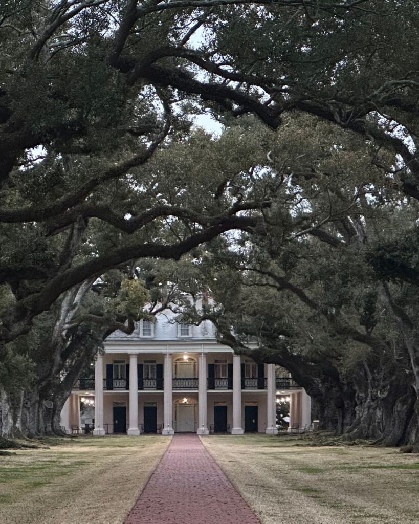 The iconic tree alley of the Oak Alley Plantation