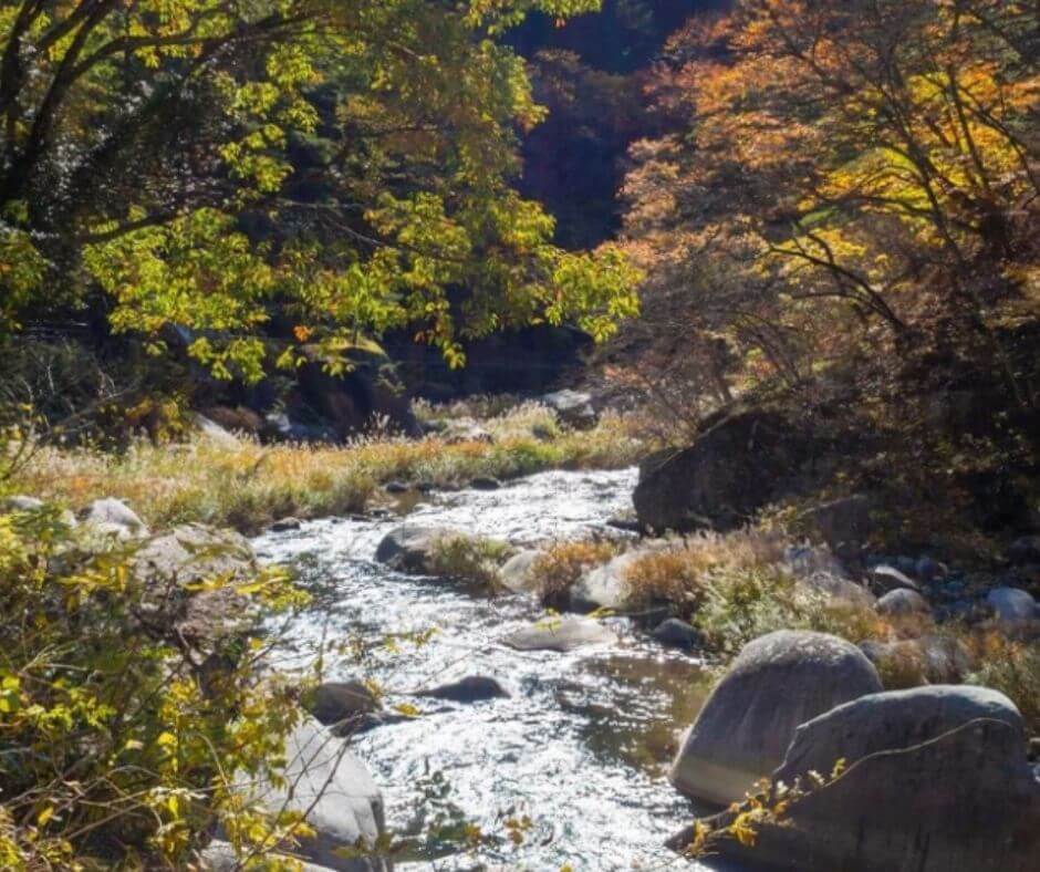 scenic spots at mount river Mitake- Hiking routes Mitake