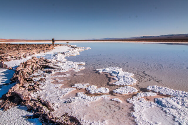 Baltinache Lagoons in Atacama, Chile