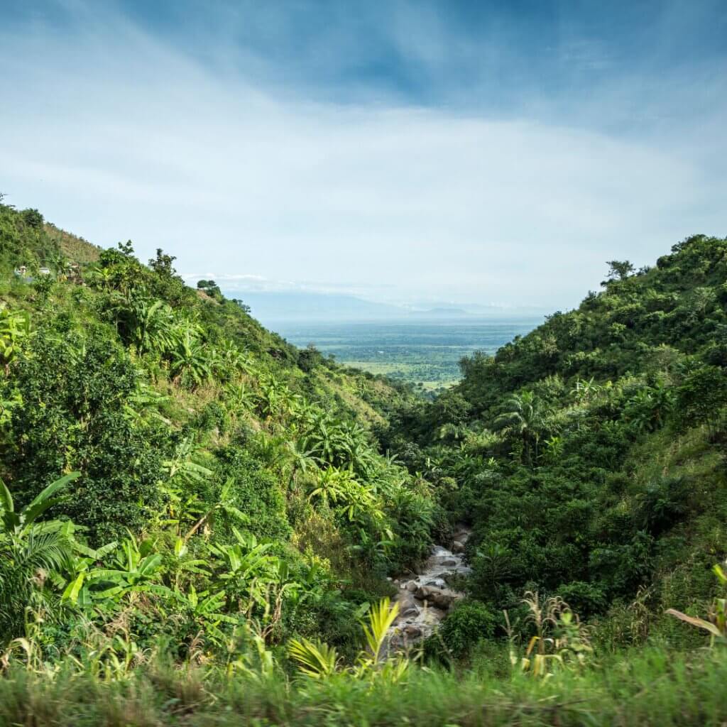 Mountain landscapes of Burundi