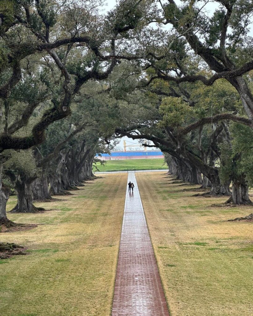 Visiting plantations are a must in Louisiana.