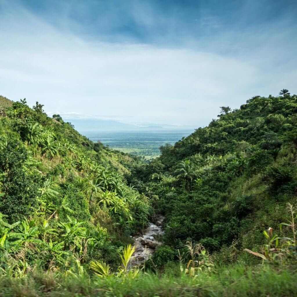 Burundi hides wonderful natural diversity