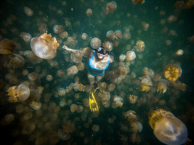 Swimming at the Jellyfish Lake in Palau