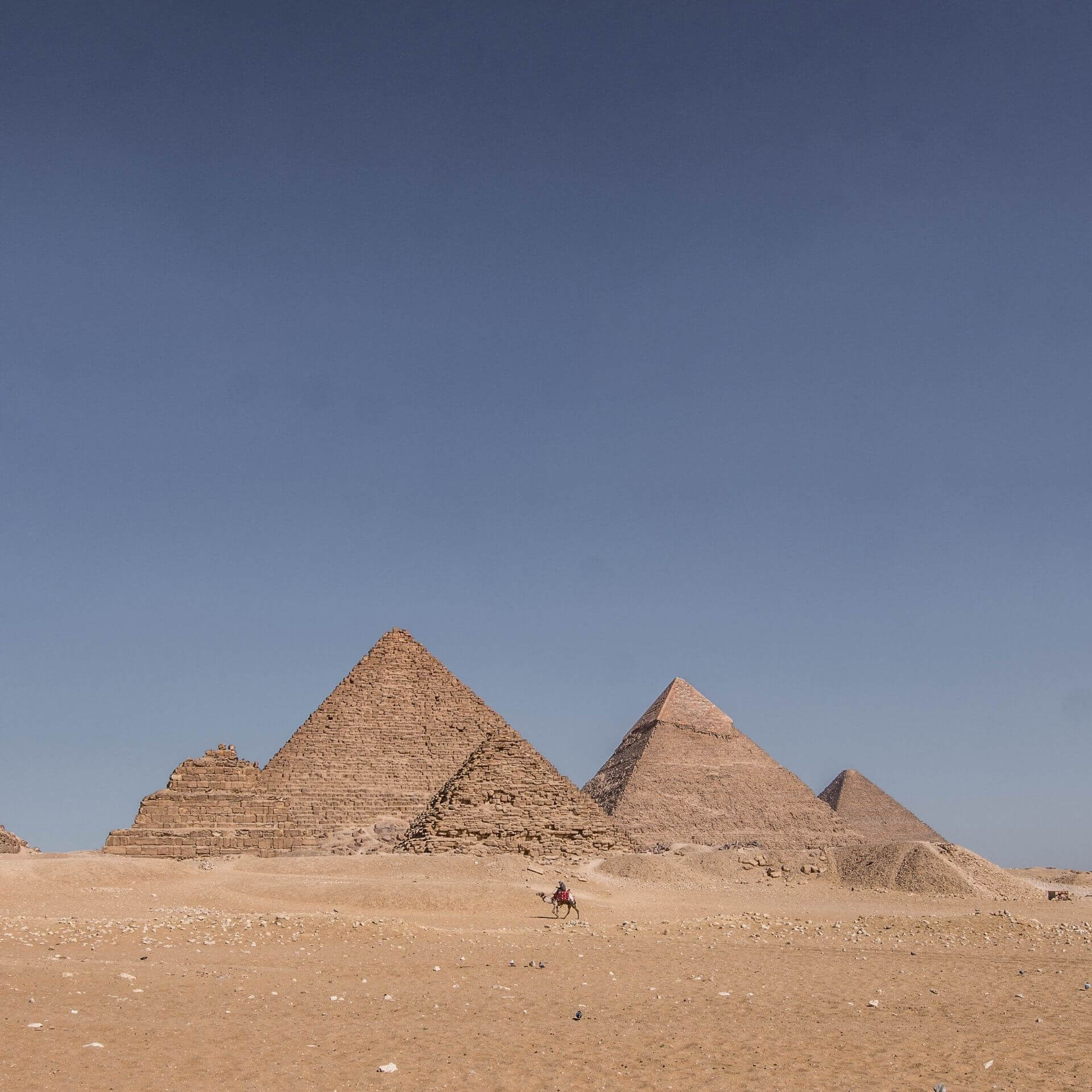 Guide for the pyramids in Giza