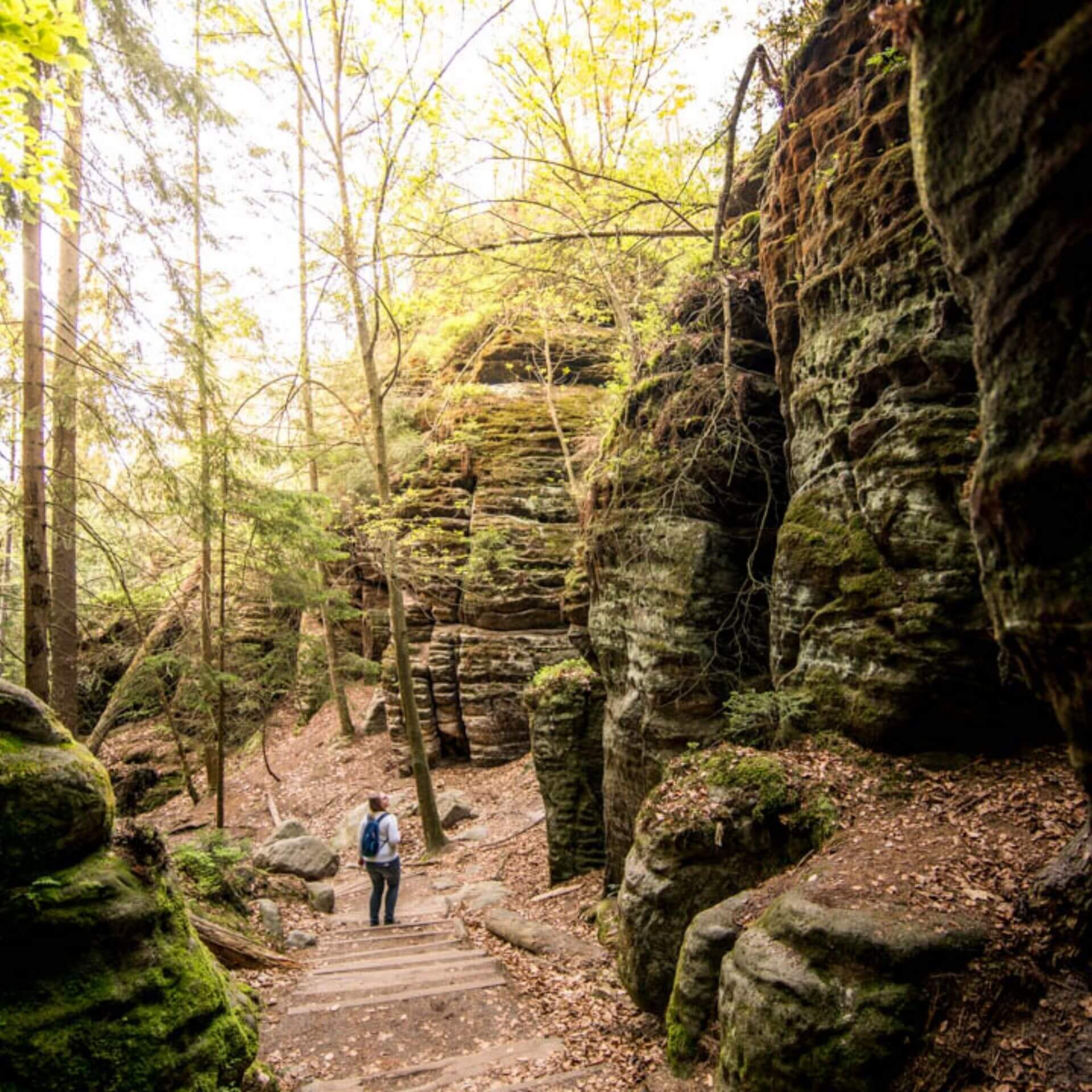 Wild camping Saxon Switzerland