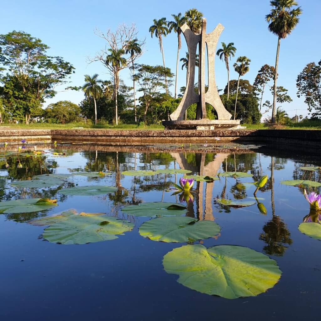 View of the Botanical gardens in Georgetown