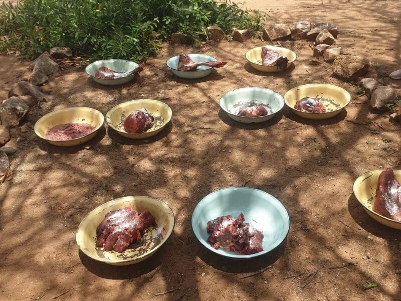 Feeding plates at the Cheetah Conservation Fund in Namibia