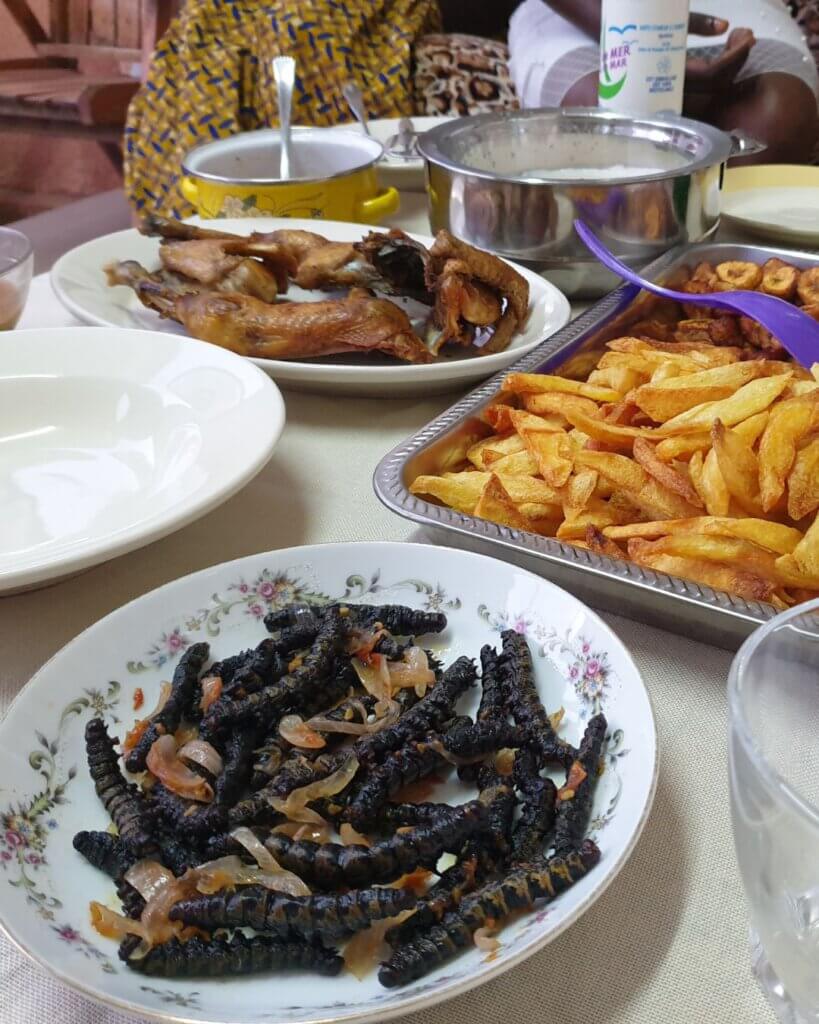 Caterpillar unique food in Burkina