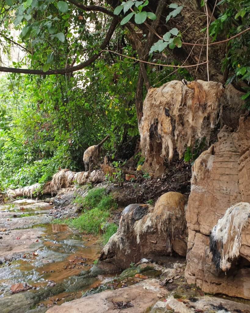 Animal skins hanging all around the waterfall where sacrifices take place