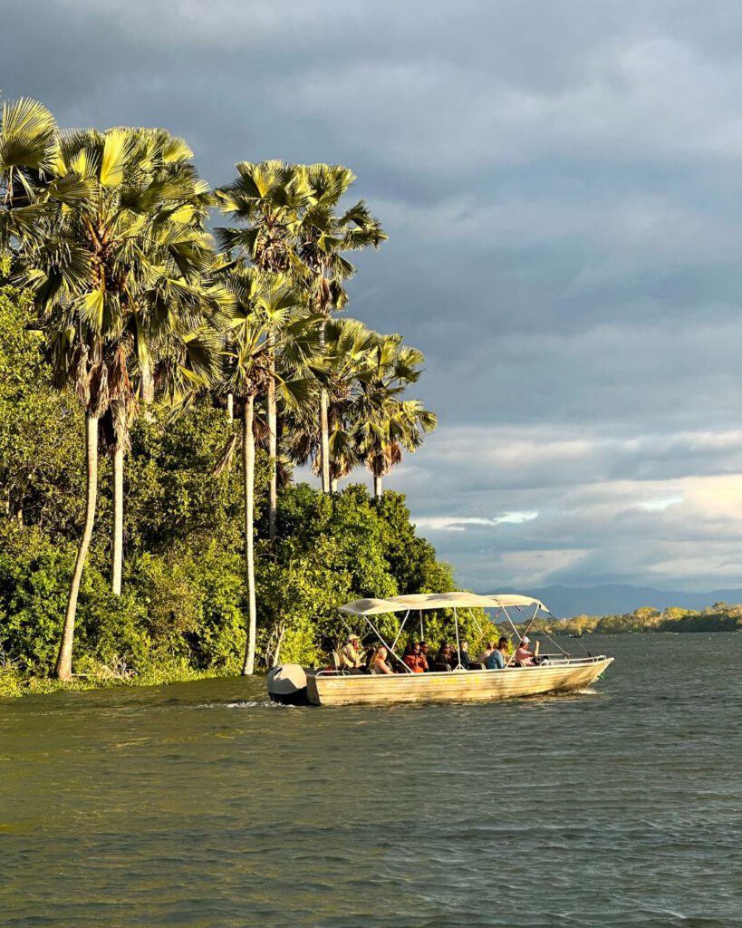 Views of Liwonde National Park on a boat