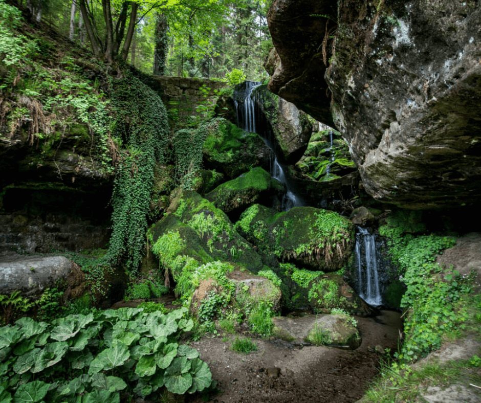 The serene Lichtenhain Waterfall, surrounded by greenery in Saxon Switzerland.