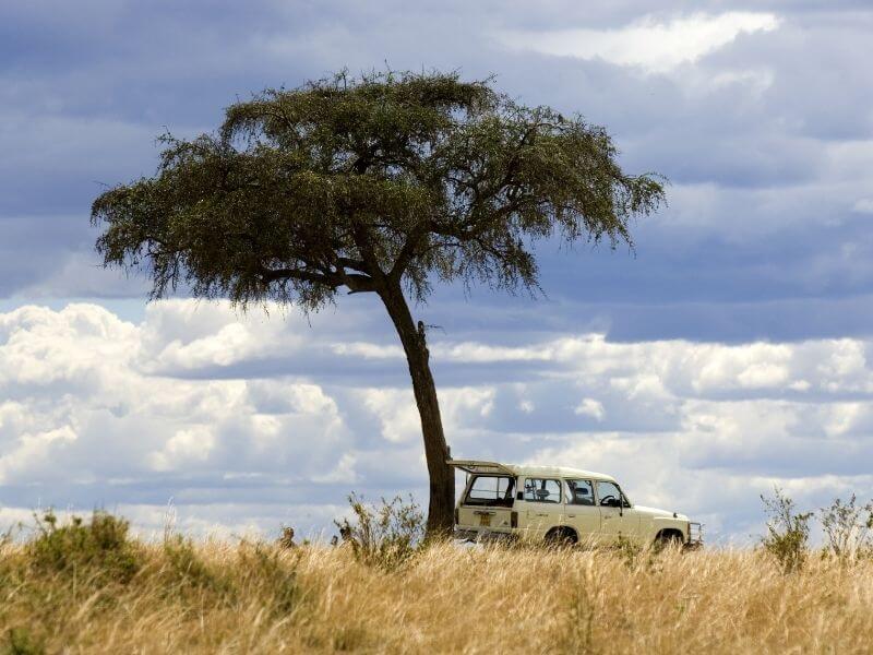 Car in Masai Mara - kenya safari