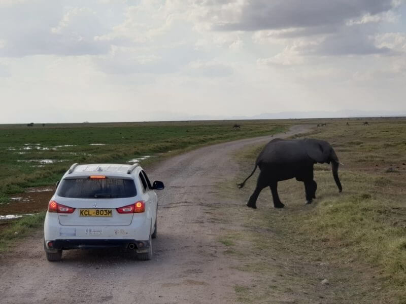 self driving small car in Amboseli