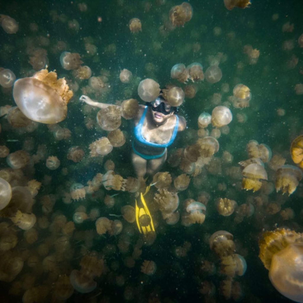 woman swimming at Jellyfish Lake in Palau