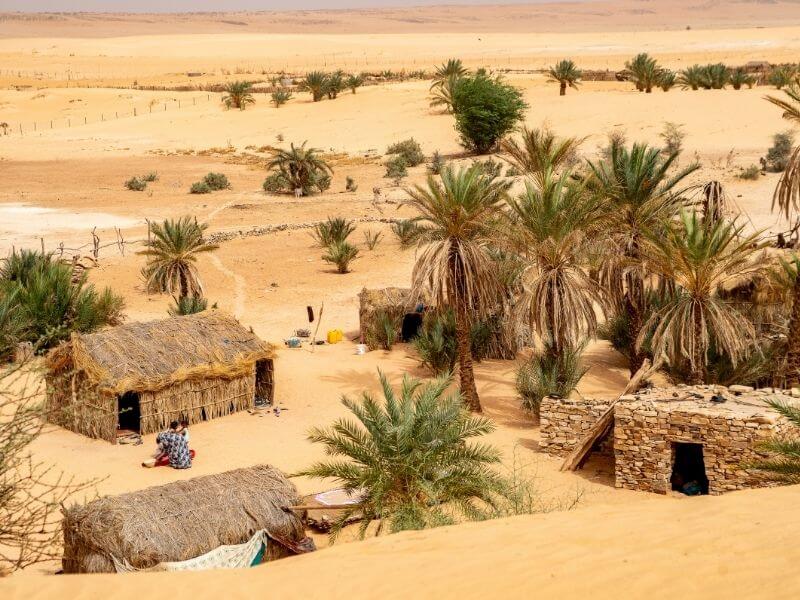 A village in the middle of the Sahara