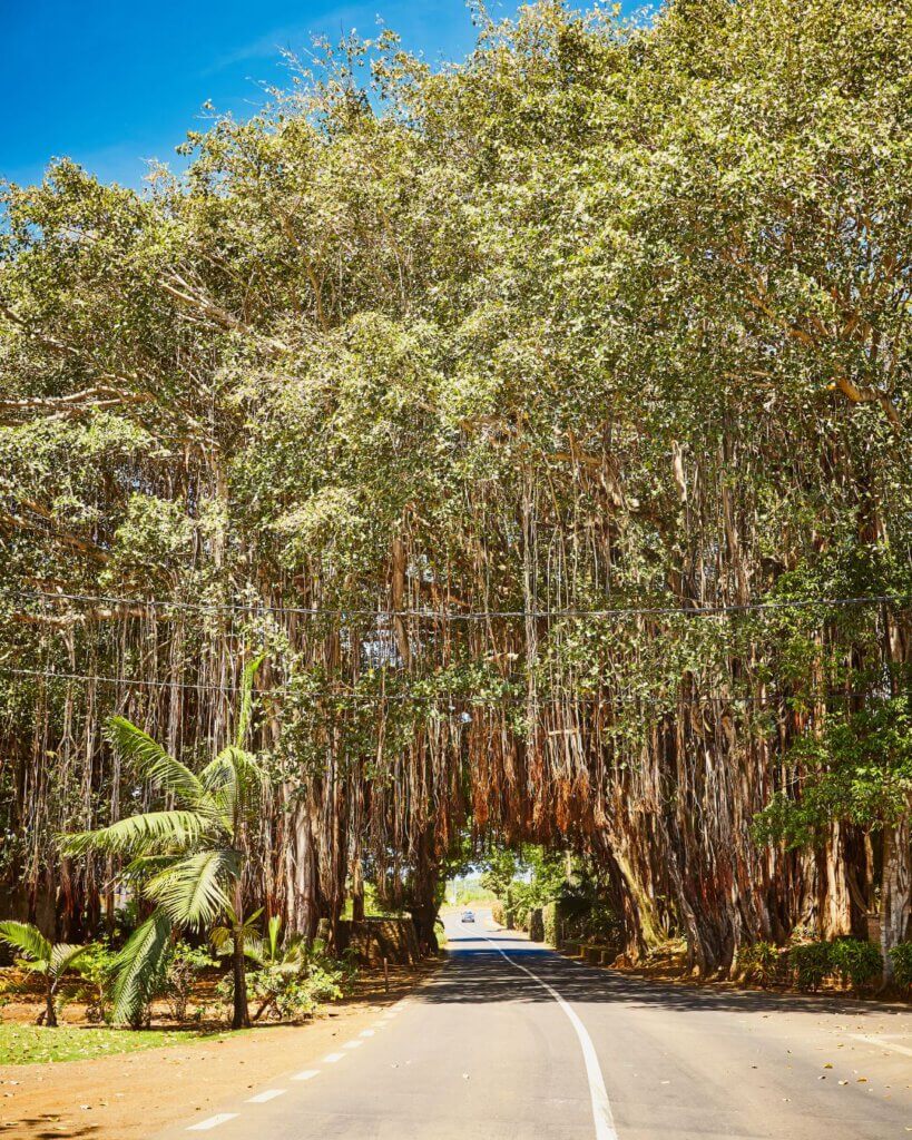 Streets in Mauritius