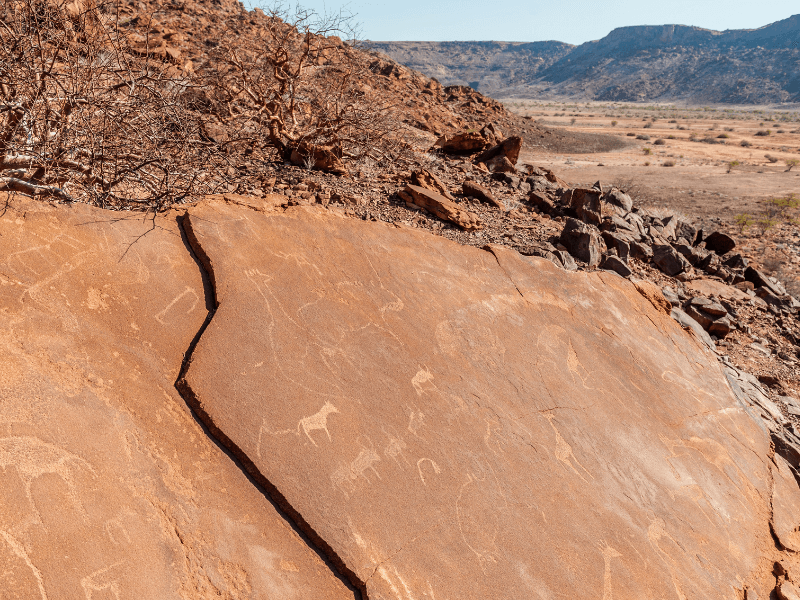 San Encarvings at Twyfelfontein 