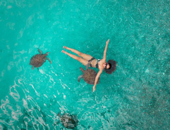 Drone photography swimming with turtles