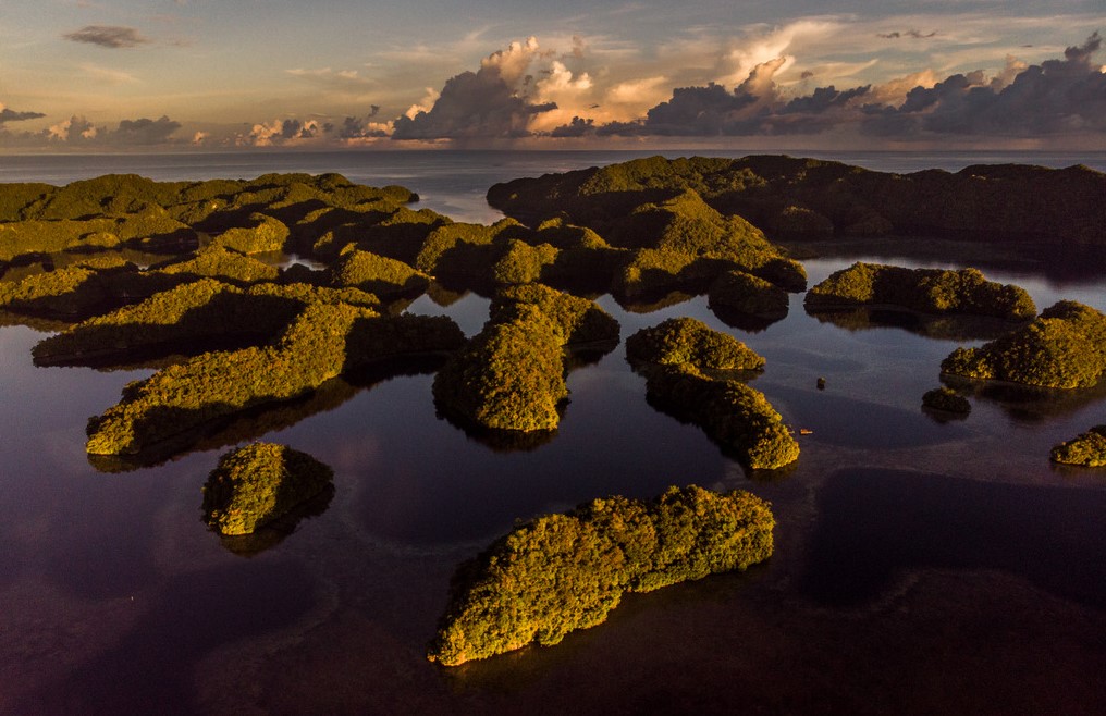 The archipelago of Palau consists of more than 700 islands.