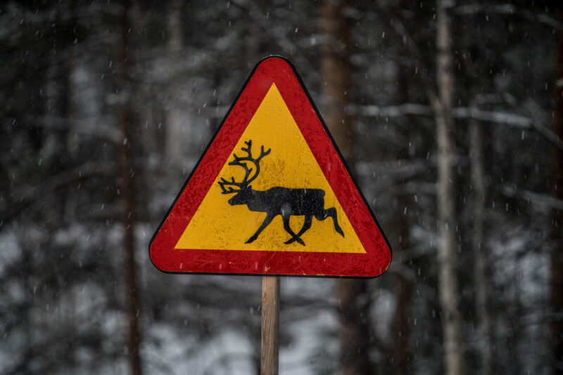 Moose crossing signs in Swedish Lapland