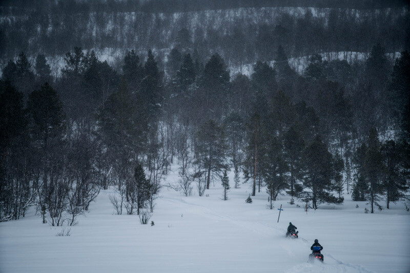 Vast landscapes of forest covered by snow in Swedish Lapland