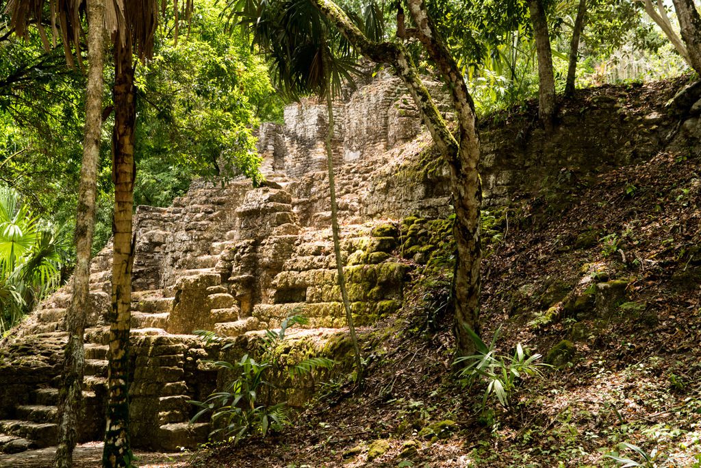 Structures in the mayan city of Tikal