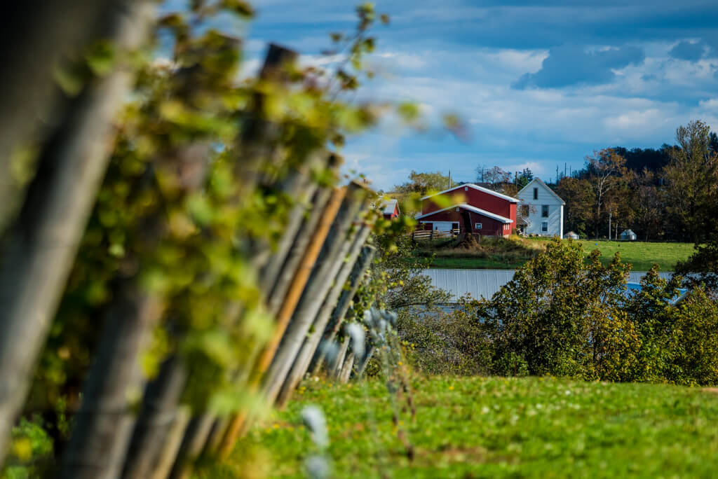 Tidal Bay is thethe first wine appellation for Nova Scotia. It displays the unique characteristics of the region with a crisp taste and aromatic aroma.